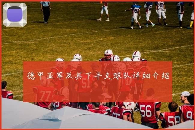 德甲亚军及其下半支球队详细介绍