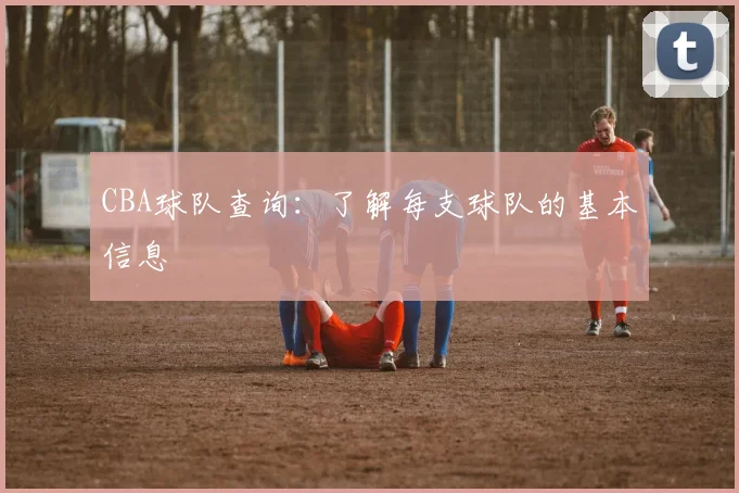 CBA球队查询：了解每支球队的基本信息