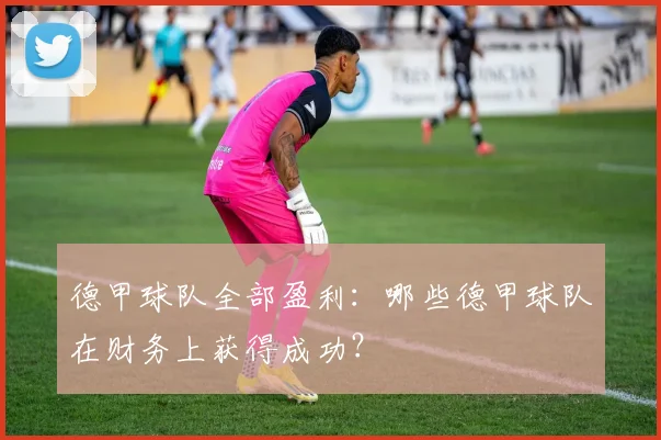 德甲球队全部盈利：哪些德甲球队在财务上获得成功？
