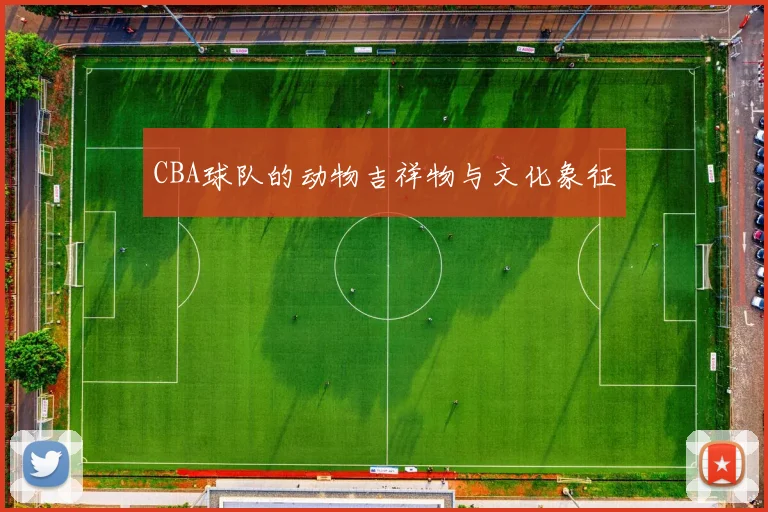 CBA球队的动物吉祥物与文化象征