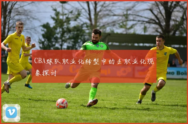 CBA球队职业化转型中的去职业化现象探讨